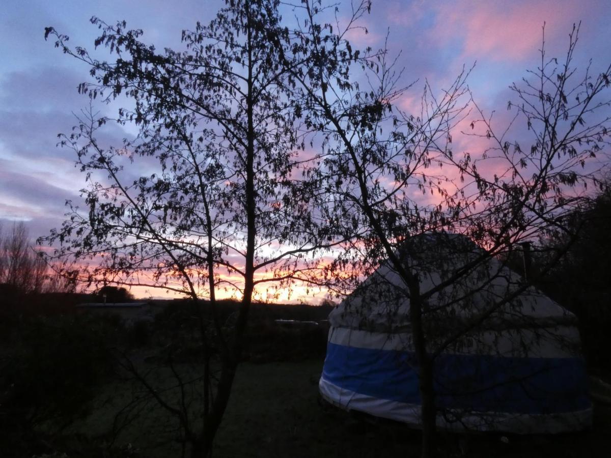 Inch Hideaway Eco Camping Whitegate  외부 사진