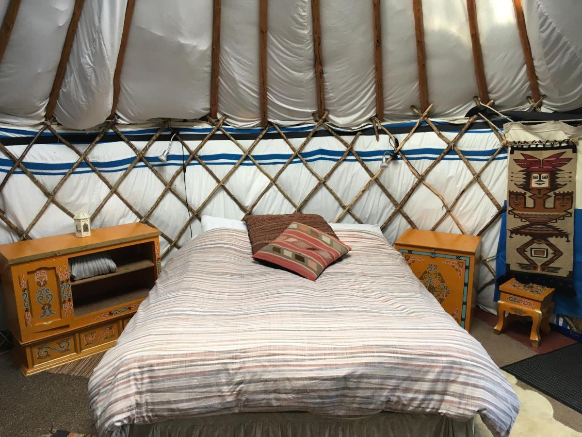 Inch Hideaway Eco Camping Whitegate  외부 사진