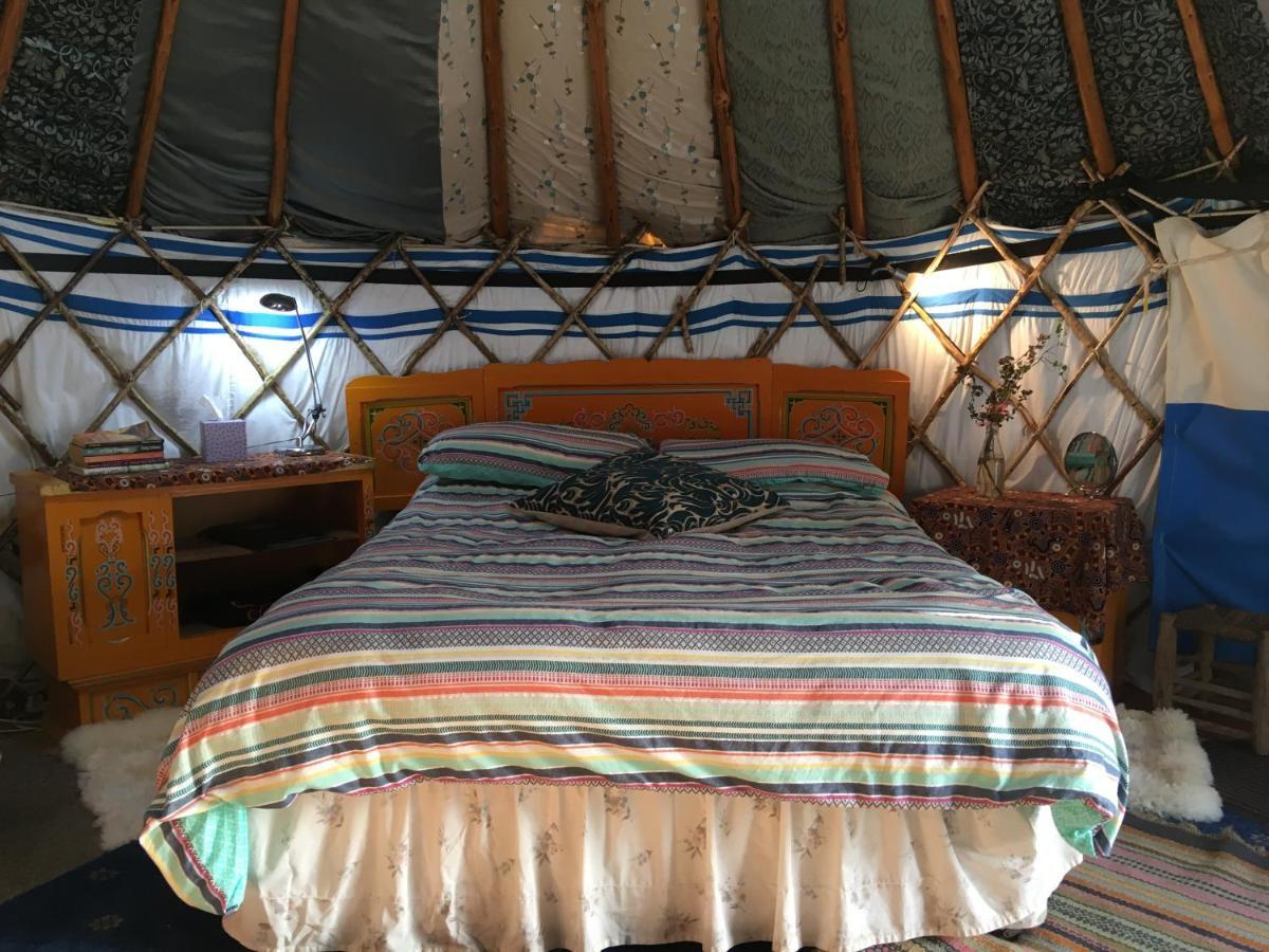 Inch Hideaway Eco Camping Whitegate  외부 사진