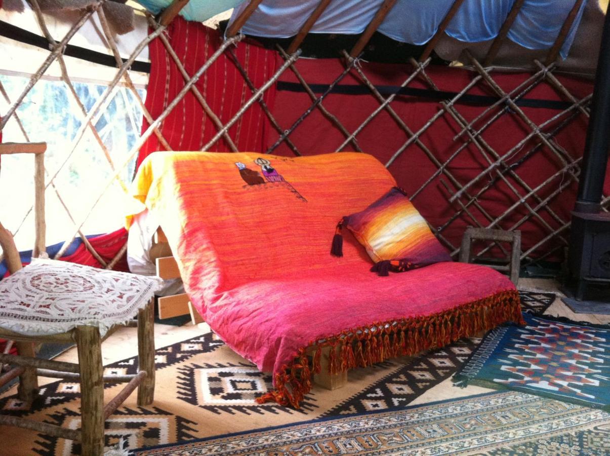 Inch Hideaway Eco Camping Whitegate  외부 사진