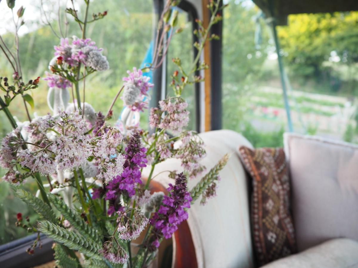 Inch Hideaway Eco Camping Whitegate  외부 사진